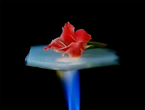 把握“十五五”节能新机遇：鼎业集团携无机阻热材料，，邀工业伙伴共赴节能降碳新赛道